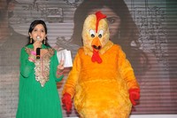 Bangaru Kodipetta Audio Stills